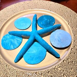 Decorative Blue Starfish and Sand Dollar Set